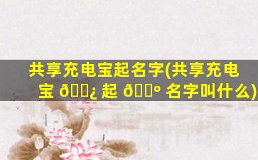 共享充电宝起名字(共享充电宝 🌿 起 🐺 名字叫什么)